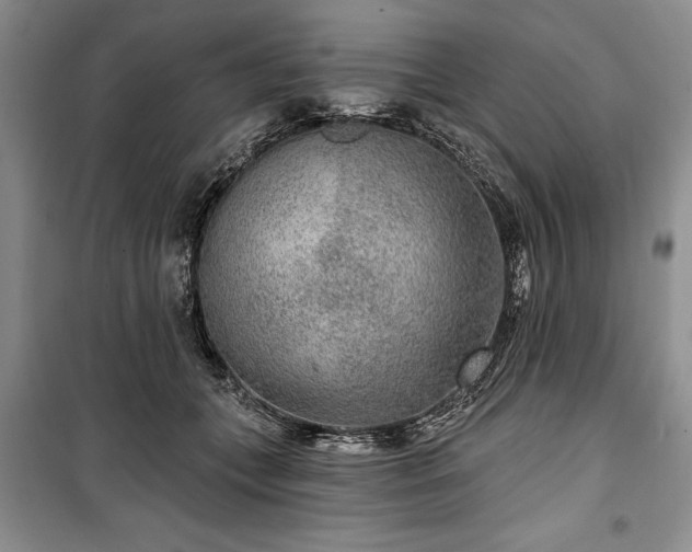 X0000100360559200806131017