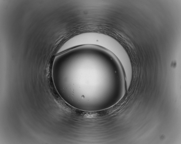 X0000100360560200806131017