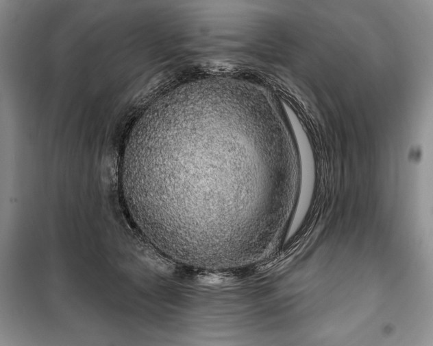 X0000100360561200806131017