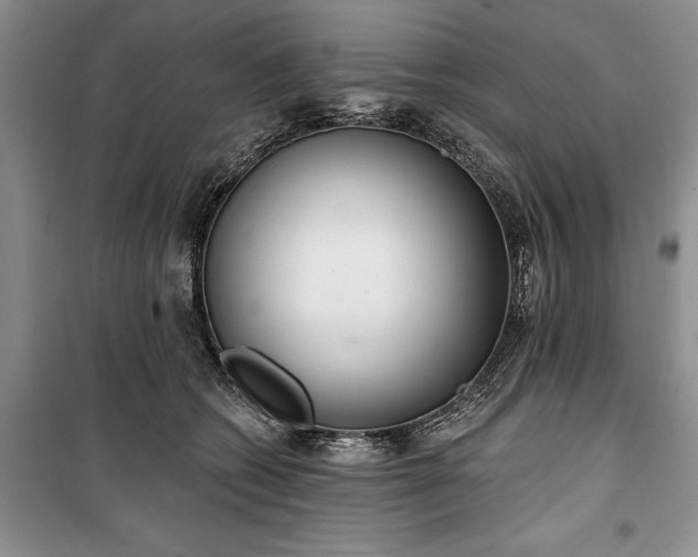 X0000100360562200806131017