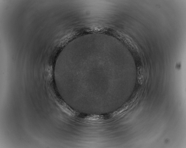 X0000100360563200806131017