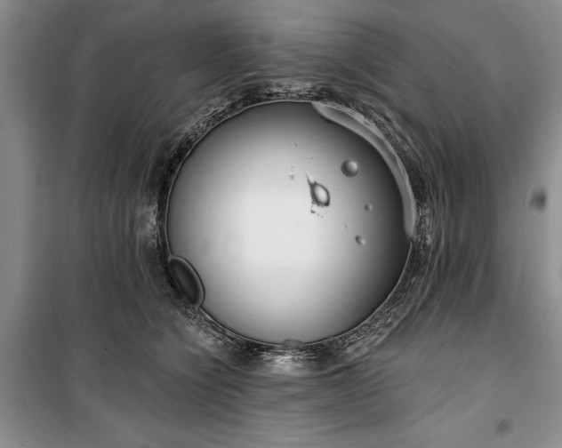 X0000100360564200806131017