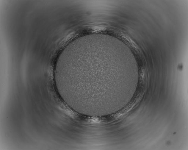 X0000100360565200806131017