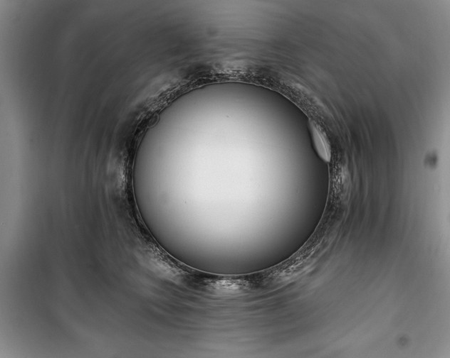 X0000100360566200806131017