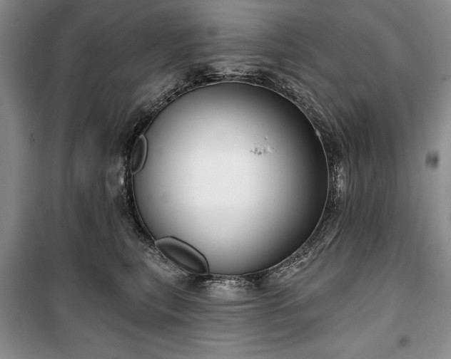 X0000100360567200806131017