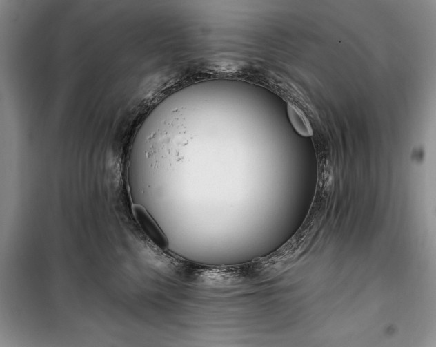 X0000100360568200806131017