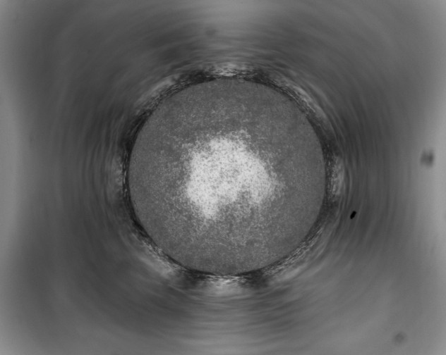 X0000100360569200806131017