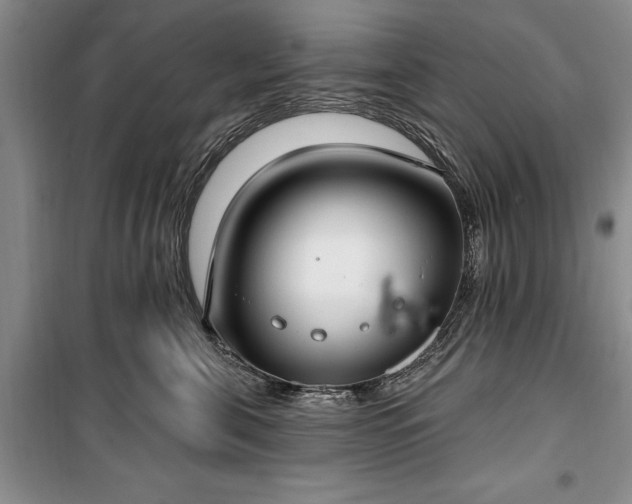 X0000100360571200806131018