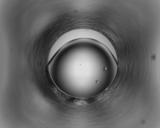 X0000100360572200806131018