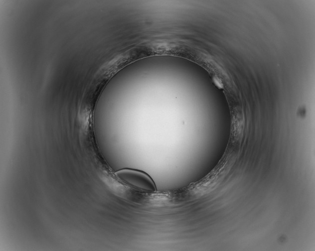 X0000100360574200806131018