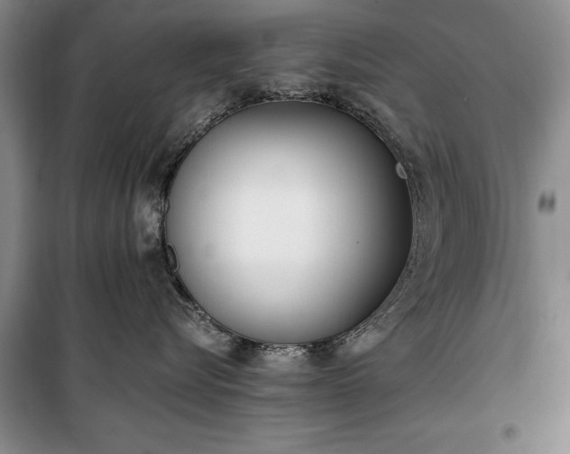 X0000100360576200806131018