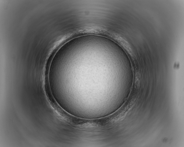 X0000100360578200806131017