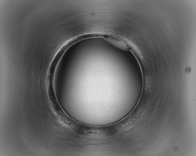 X0000100360580200806131017