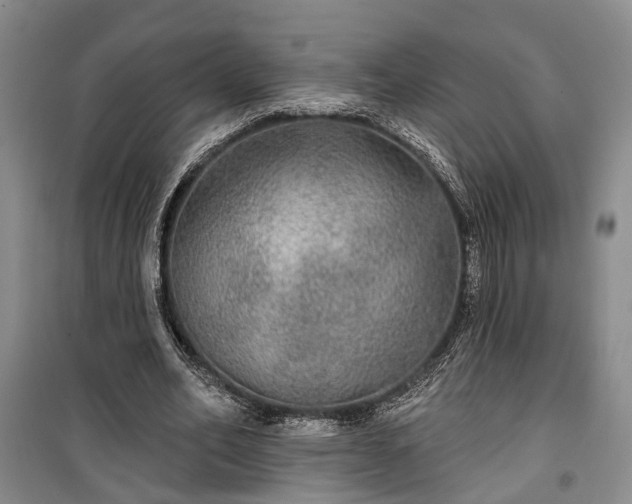 X0000100360582200806131017