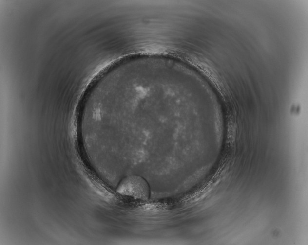 X0000100360584200806131017