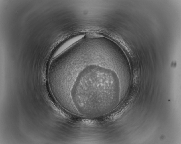 X0000100360585200806131017