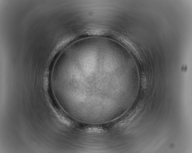 X0000100360586200806131017