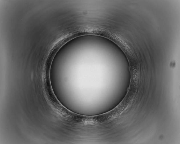 X0000100360587200806131017