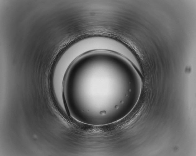 X0000100360589200806131017