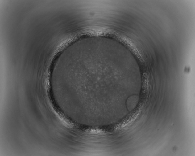 X0000100360590200806131017