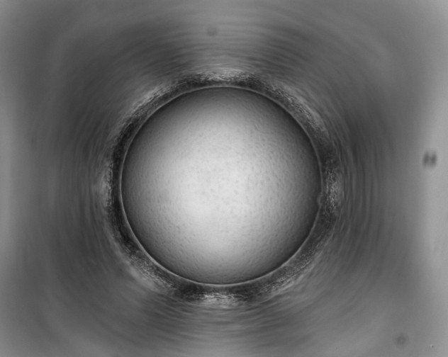 X0000100360591200806131017