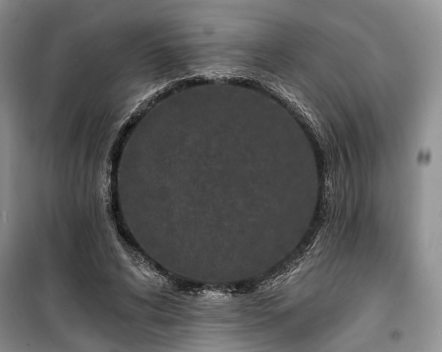 X0000100360592200806131017