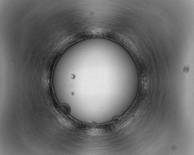 X0000100360593200806131017