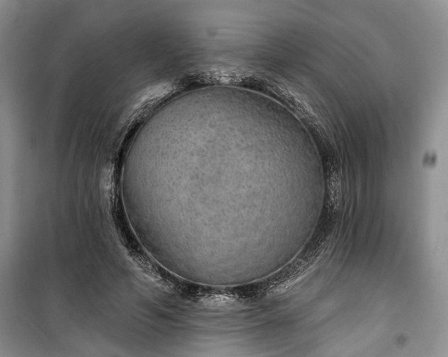 X0000100360594200806131017