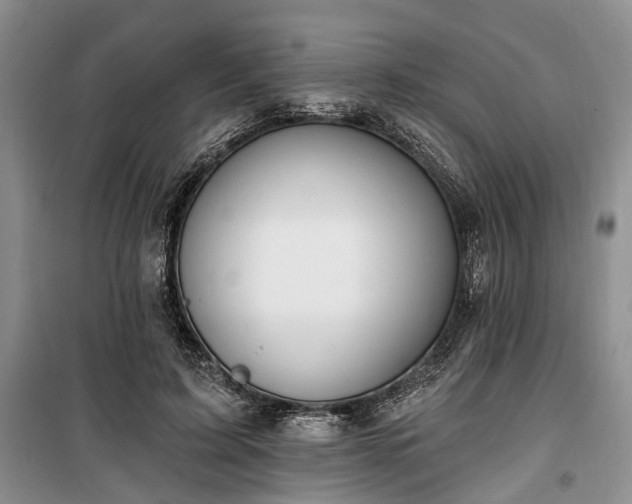 X0000100360595200806131017