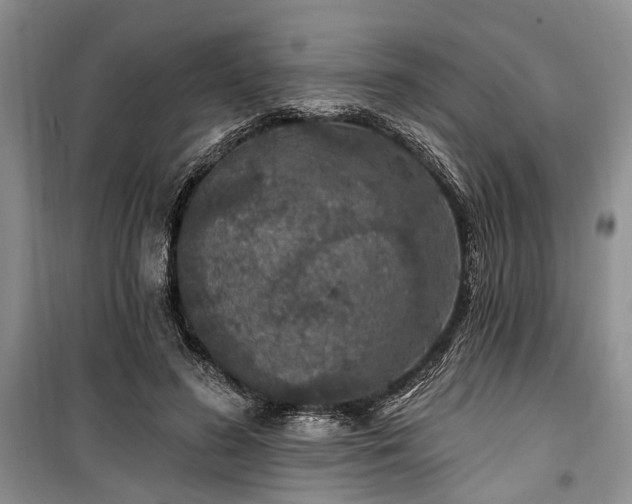 X0000100360596200806131017