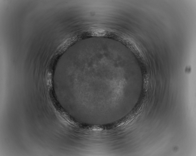 X0000100360598200806131017