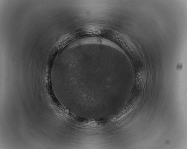 X0000100360600200806131016