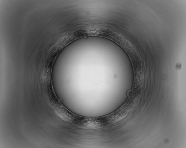 X0000100360601200806131016