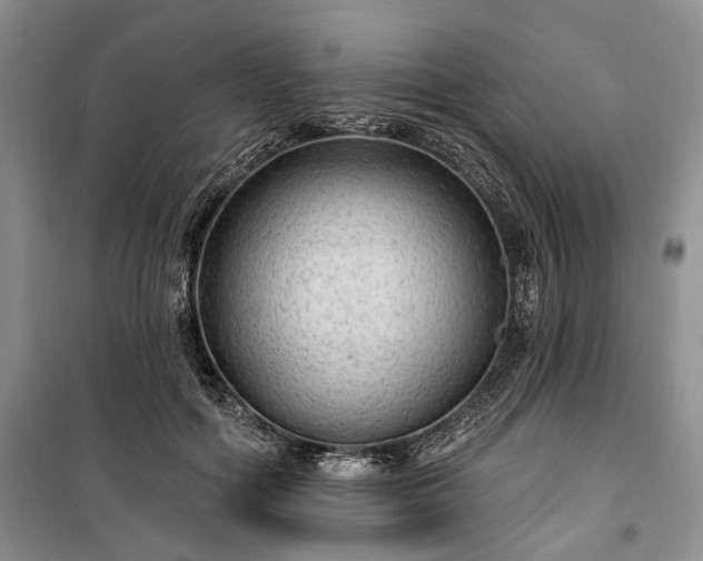 X0000100360602200806131016