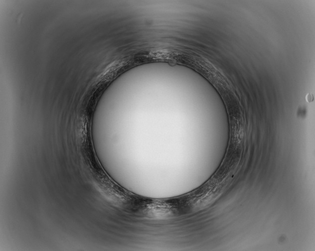 X0000100360603200806131016