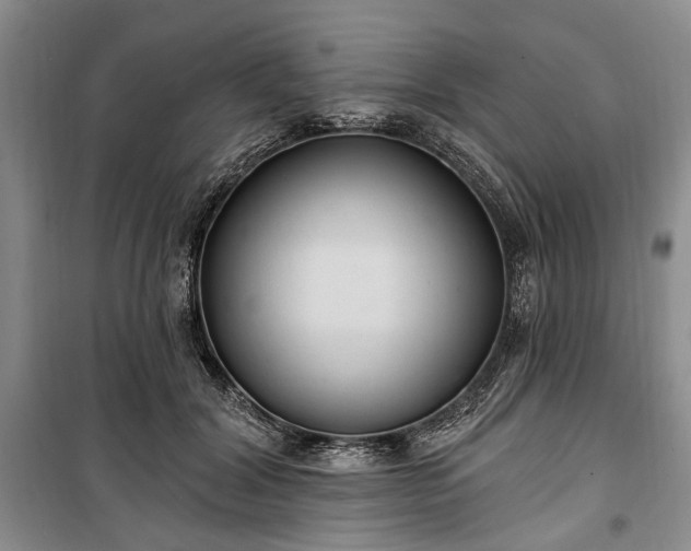 X0000100360604200806131016