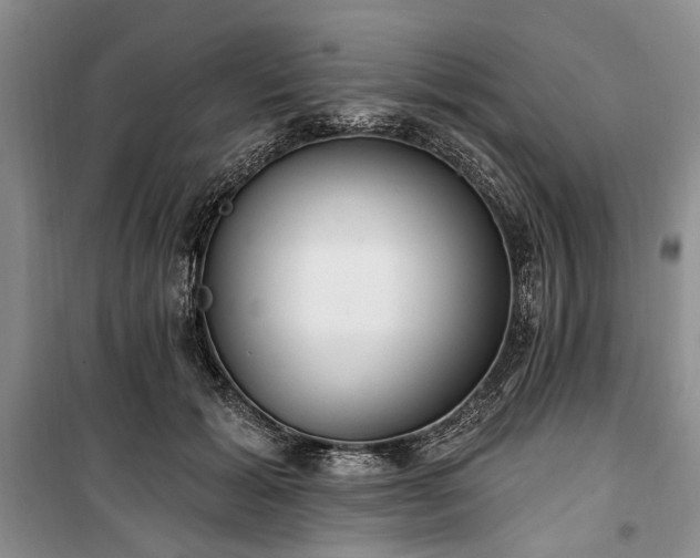 X0000100360605200806131016