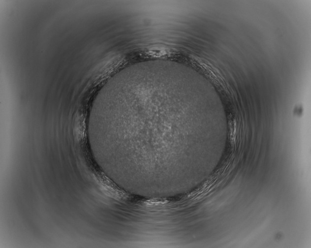 X0000100360606200806131016