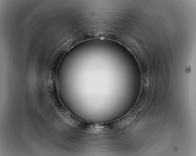 X0000100360607200806131016