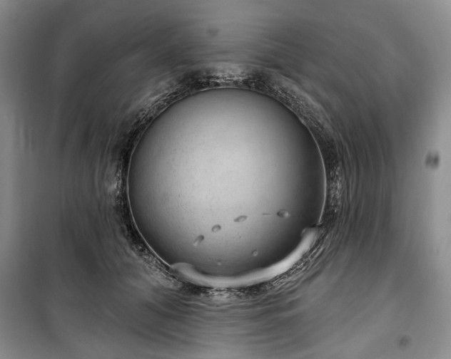 X0000100360608200806131016