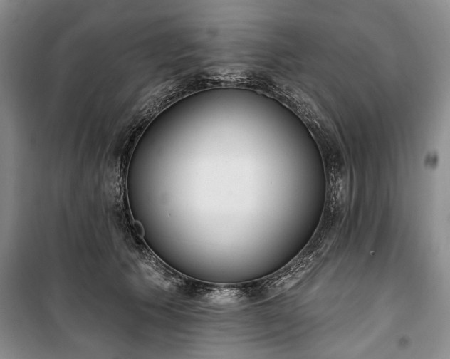 X0000100360609200806131016