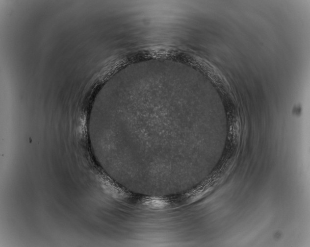 X0000100360610200806131016