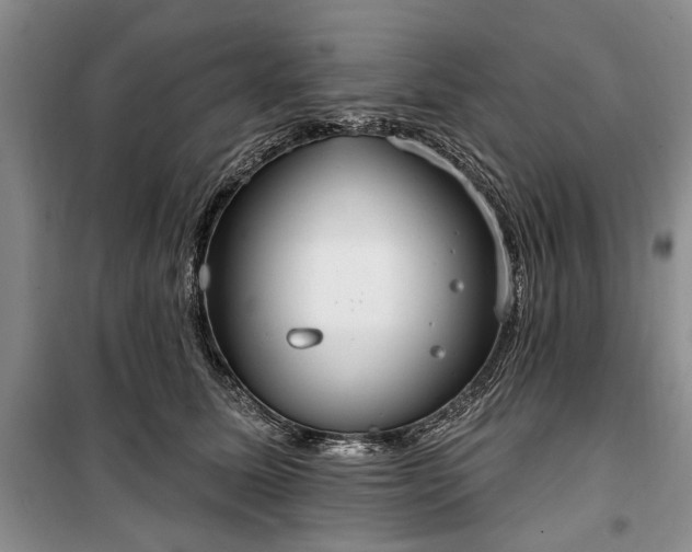 X0000100360611200806131016