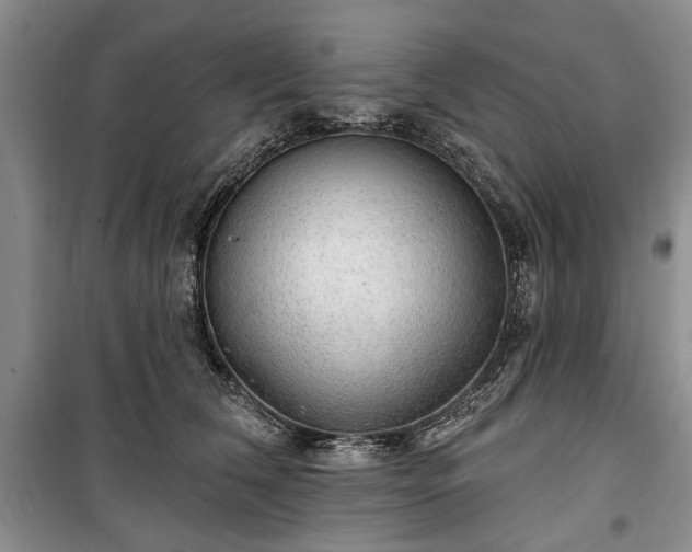 X0000100360612200806131016