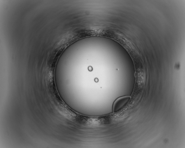 X0000100360613200806131016