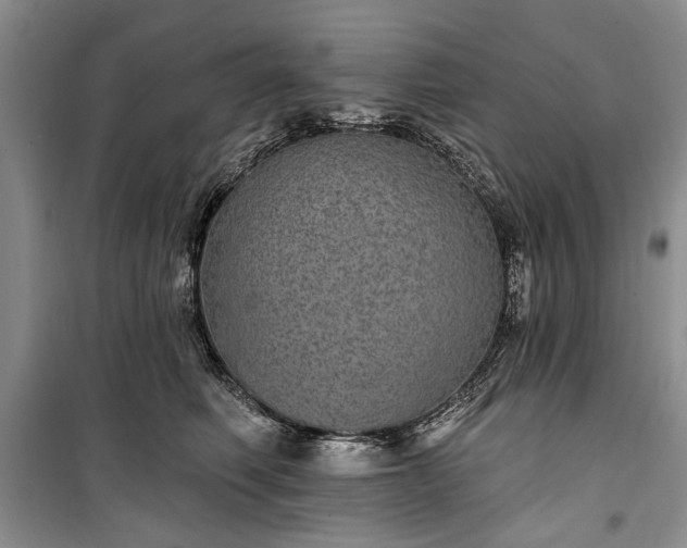 X0000100360614200806131016