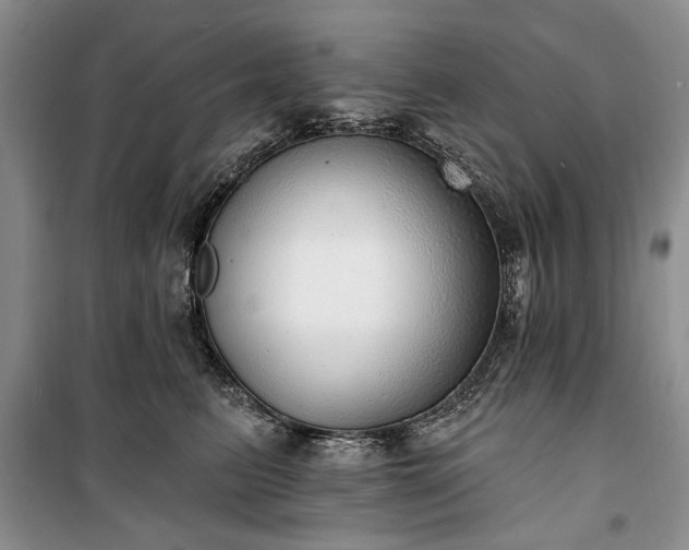 X0000100360615200806131016