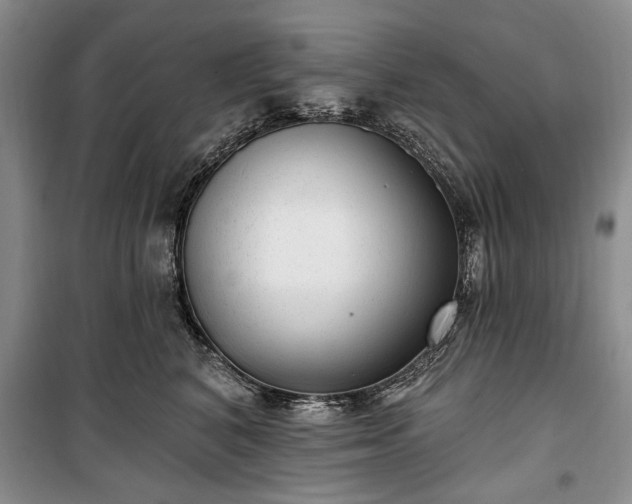 X0000100360616200806131016