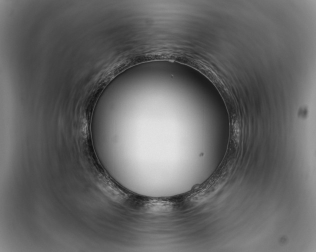 X0000100360617200806131016