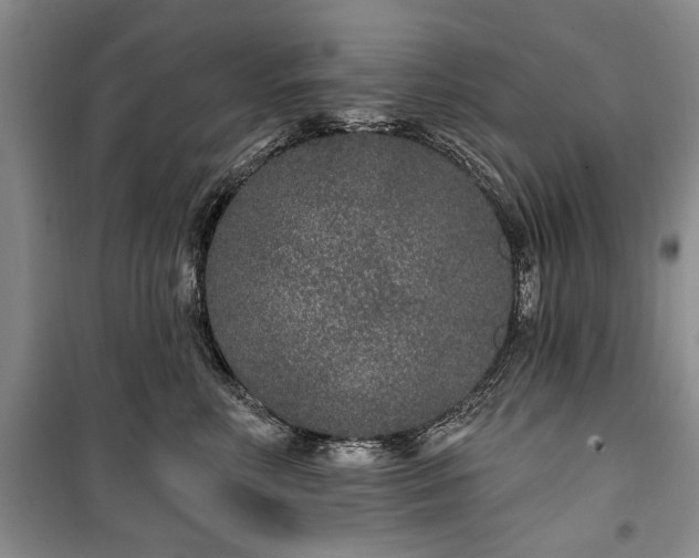 X0000100360618200806131016